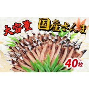 ふるさと納税 魚貝類 さんま 千葉県 銚子市 ...の詳細画像2