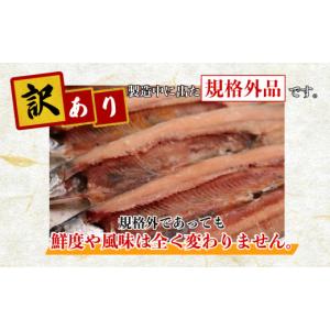 ふるさと納税 魚貝類 さんま 千葉県 銚子市 ...の詳細画像4
