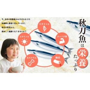 ふるさと納税 魚貝類 さんま 千葉県 銚子市 ...の詳細画像5
