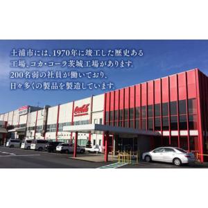 ふるさと納税 炭酸飲料 茨城県 土浦市 4ヶ月...の詳細画像4