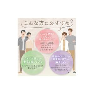 ふるさと納税 果物類 山梨県 山梨市 配れるフ...の詳細画像4