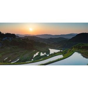 ふるさと納税 食用油 岡山県 久米南町 タミー...の詳細画像5