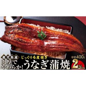 ふるさと納税 うなぎ 鹿児島県 大崎町 うなぎ 蒲焼 200g×2尾 鹿児島産 地下水で育てた絶品鰻 うなぎ蒲焼 国産 人気 鰻 うなぎ 鹿児島 うなぎ蒲焼 国産 おすす…