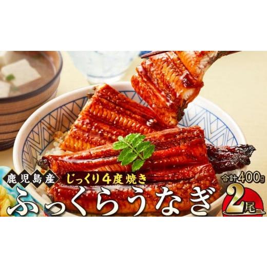 ふるさと納税 鹿児島県 大崎町 うなぎ 蒲焼 200g×2尾【鹿児島産】地下水で育てた絶品鰻