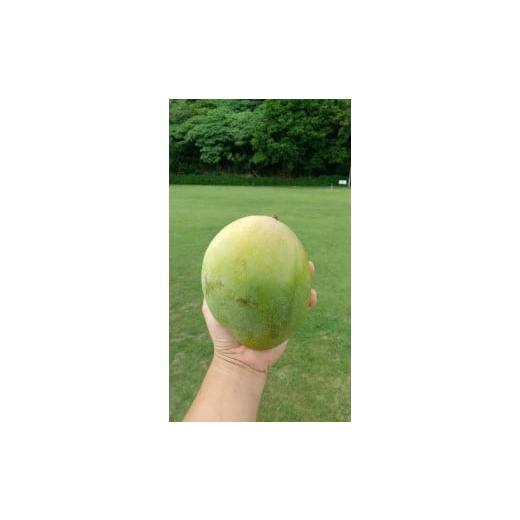 ふるさと納税 果物類 沖縄県 宮古島市 フローズンキーツマンゴー 《急速冷凍》2ｋｇ（FU010）