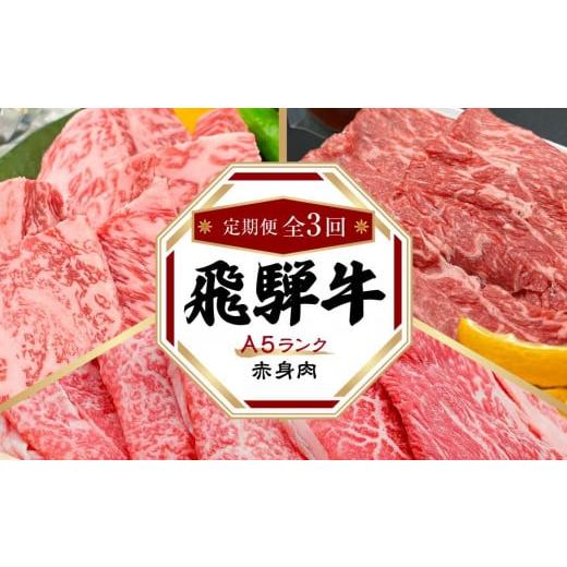 ふるさと納税 牛肉 セット 岐阜県 高山市 飛騨牛 A5 赤身 定期便 全3回 約1kg（すき焼き ...