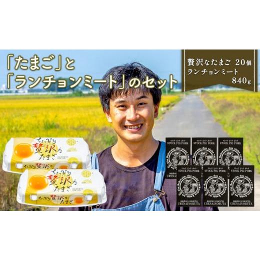 ふるさと納税 埼玉県 羽生市 たまご と ランチョンミート セット 卵 20個 スパム 缶詰 840...