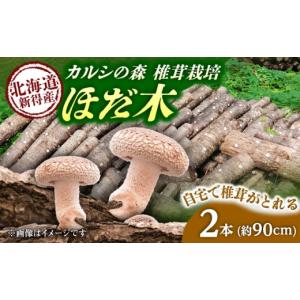 山梨県産 しいたけ原木 3本セット 菌駒打ち済み おいしい椎茸栽培 安心