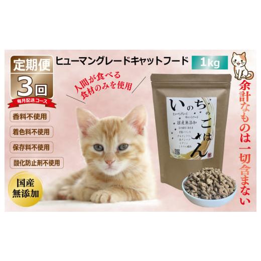 ふるさと納税 大阪府 泉佐野市 【定期便】国産 無添加 キャットフード「いのちのごはん」1kg×全3...