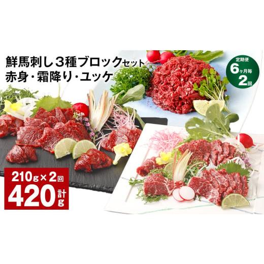 ふるさと納税 馬肉 熊本県 高森町  6ヶ月毎2回定期便 鮮馬刺し 3種ブロックセット（赤身・霜降り...