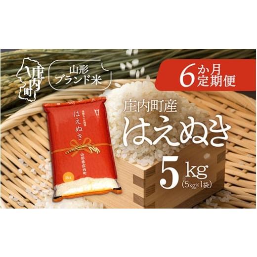 ふるさと納税 米 はえぬき 山形県 庄内町  1月中旬発送 庄内米6か月定期便 はえぬき 5kg（入...