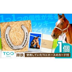馬蹄鉄のお守り 現役サラブレッドの古蹄鉄 （開運蹄鉄 競馬 競走馬