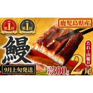 ふるさと納税 うなぎ 鹿児島県 東串良町 010...の商品画像