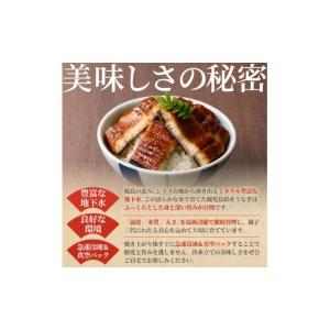 ふるさと納税 うなぎ 鹿児島県 東串良町 01...の詳細画像4