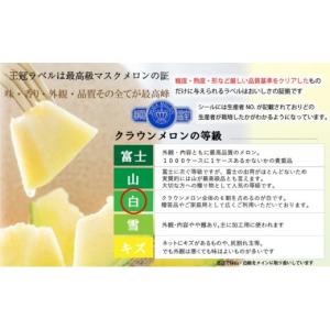 ふるさと納税 メロン メロン青肉 静岡県 浜松...の詳細画像4