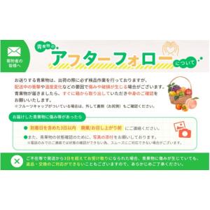 ふるさと納税 果物類 ぶどう 和歌山県 かつら...の詳細画像4