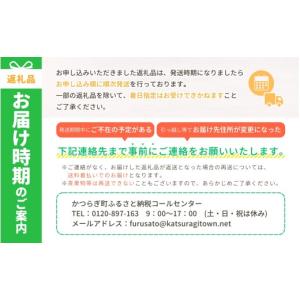 ふるさと納税 果物類 ぶどう 和歌山県 かつら...の詳細画像5