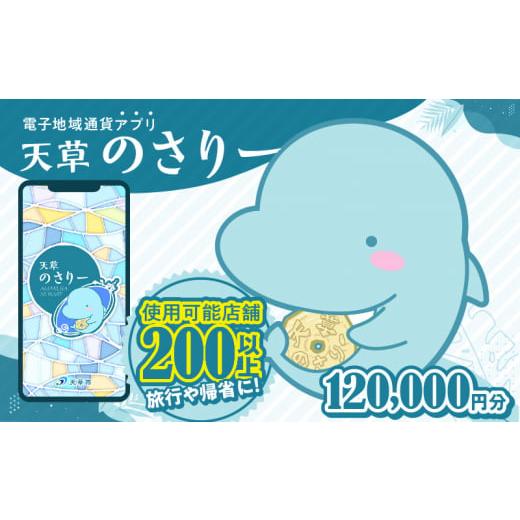 ふるさと納税 地域のお礼の品 熊本県 天草市 S777-013_天草市満喫クーポン 120,000円...