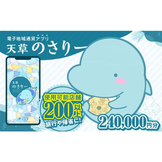 ふるさと納税 地域のお礼の品 熊本県 天草市 S777-017_天草市満喫クーポン 240,000円...