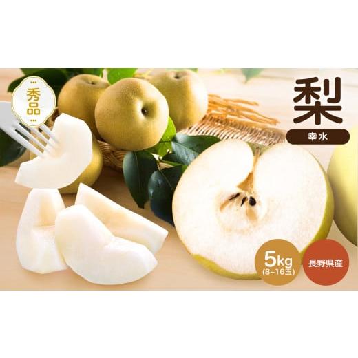 ふるさと納税 梨 長野県 飯田市 南信州産 幸水 約5kg 秀品 8〜16玉 | 幸水 梨 なし ナ...