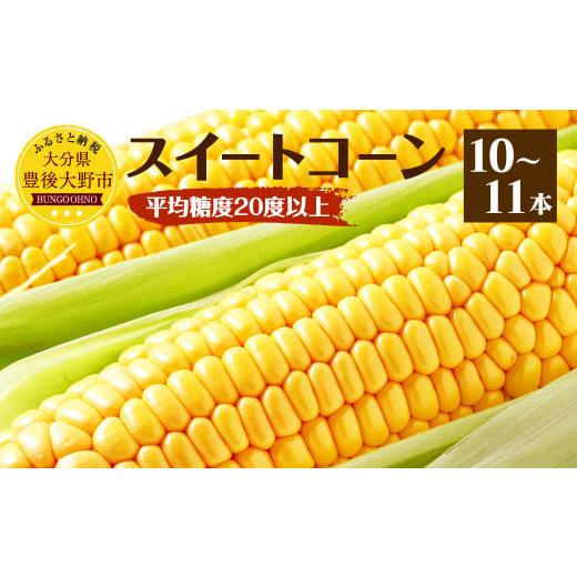 ふるさと納税 大分県 豊後大野市 004-1058 【先行予約】 平均糖度20度以上 スイートコーン...