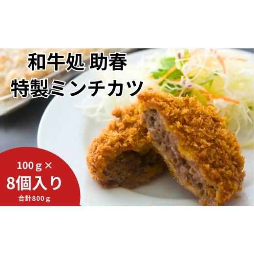 ふるさと納税 大阪府 東大阪市 助春特製ミンチカツ(冷凍)100g×8 RU-1