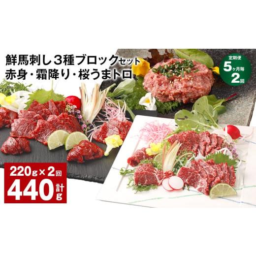 ふるさと納税 馬肉 熊本県 高森町  5ヶ月毎2回定期便 鮮馬刺し 3種ブロックセット 赤身・霜降り...