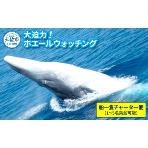 ふるさと納税 体験チケット 高知県 土佐市 ホエ...の商品画像
