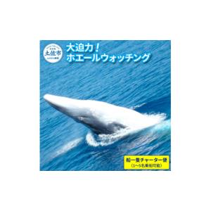 ふるさと納税 体験チケット 高知県 土佐市 ホ...の詳細画像1