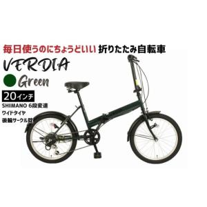 tern 「ターン」AMP F1（アンプ F1 限定カラー）20インチ フレーム
