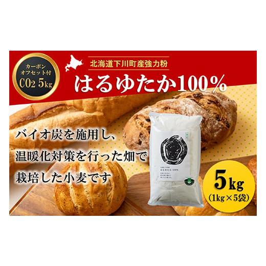 ふるさと納税 北海道 下川町 北海道下川町産強力粉はるゆたか100% 5kg バイオ炭施用 カーボン...