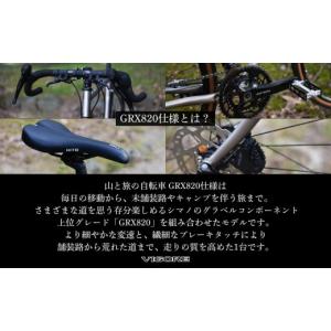 ふるさと納税 自転車 京都府 京都市 VIGO...の詳細画像3