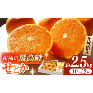 ふるさと納税 熊本県 山鹿市 【先行予約】【数量限定】せとか みかん 約2.5kg 果物 化粧箱入り...