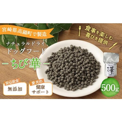 ふるさと納税 宮崎県 高鍋町 ＜ちび華 500g＞翌月末迄に順次出荷