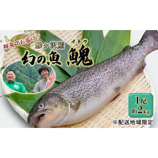 ふるさと納税 青森県 鰺ヶ沢町 鮮魚でお届け！鰺ヶ沢産「幻の魚イトウ」1尾 約2kg ※配送地域限定