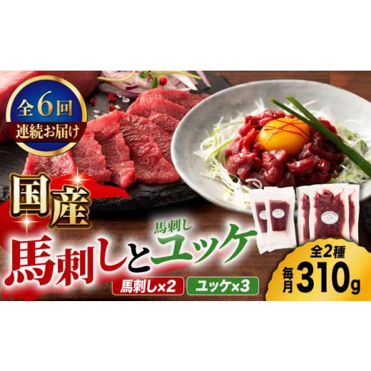 ふるさと納税 馬肉 熊本県 山鹿市  6回定期便 国産馬刺し と ユッケ のセット 3585 ZDT...