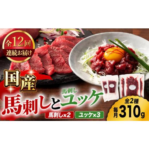 ふるさと納税 馬肉 熊本県 山鹿市  12回定期便 国産馬刺し と ユッケ のセット 3585 ZD...