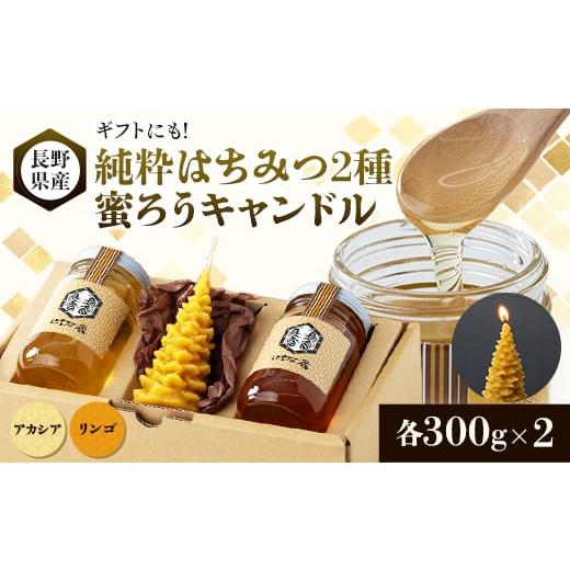 ふるさと納税 長野県 茅野市 ＜ギフトセット＞純粋はちみつ×蜜ろうキャンドル(モミの木)【14853...