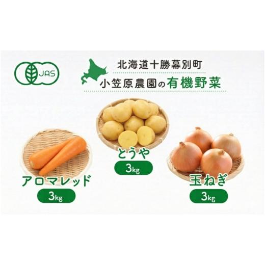 ふるさと納税 野菜類 じゃがいも 北海道 幕別町 小笠原農園の有機野菜 3種詰合せ（とうや3kg・に...