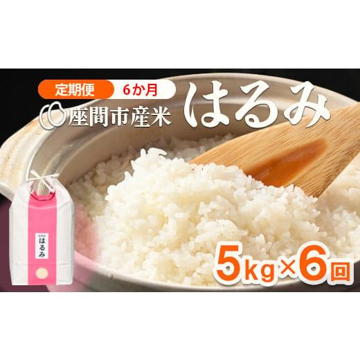 ふるさと納税 神奈川県 座間市 【定期便】6か月 座間市産米　はるみ5kg×6回　※離島への配送不可...