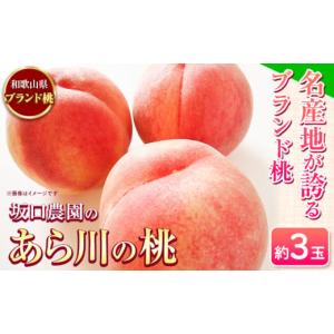 ふるさと納税 和歌山県 紀の川市 桃 あら川の桃 ブランド桃 3玉 坂口農園《2024年6月下旬-8月下旬頃出荷》 和歌山県 紀の川市 桃 もも モモ 白鳳 日川白鳳 紀…｜ふるさとチョイス