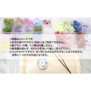 ふるさと納税 雑貨・日用品 静岡県 島田市 ハ...の詳細画像5