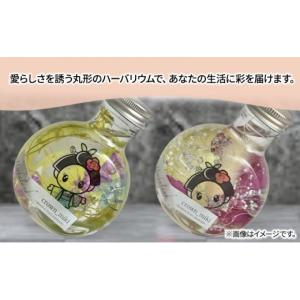 ふるさと納税 雑貨・日用品 静岡県 島田市 ハ...の詳細画像3