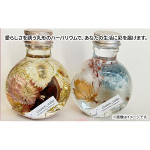 ふるさと納税 雑貨・日用品 静岡県 島田市 ハ...の詳細画像3