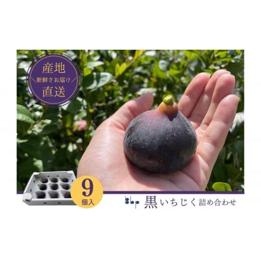 ふるさと納税 果物類 千葉県 成田市  No.5904-0536 先行予約 黒いちじく詰め合わせ　9...