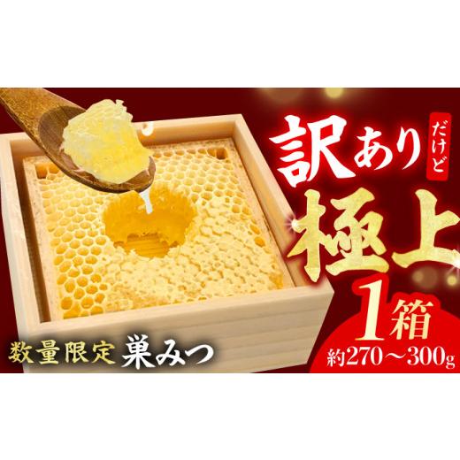 ふるさと納税 加工品等 はちみつ 福岡県 広川町  訳あり 国産巣みつ 1箱（300g未満） はちみ...