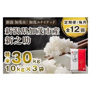 ふるさと納税 米 新潟県 加茂市 令和8年産新米先行予約 定期便12ヶ月毎月お届け 新潟県産 新之助 精米30kg（10kg×3袋）《10月上旬から順次出荷》 新潟県産新…