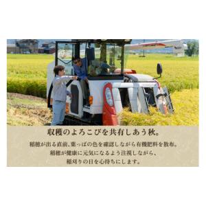 ふるさと納税 米 新潟県 加茂市 令和8年産新...の詳細画像5