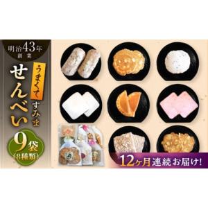 ふるさと納税 菓子 煎餅 佐賀県 武雄市 12回定期便 うまくてすみませんべい バラエティ詰合せ 8種 計9袋 ／恵比須堂 UBQ004