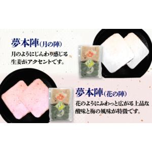 ふるさと納税 菓子 煎餅 佐賀県 武雄市 12...の詳細画像5